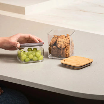 Kit Pote Hermético Bambu 230ml | Leve 4, Pague 3 Coleção Pote Hermético- Kit Pote Hermético Bambu 230ml | Leve 4, Pague 3 Design & Casa