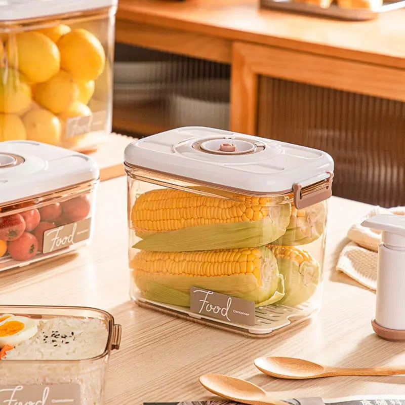 Pote Hermético com Tampa e Seladora a Vácuo Pote Hermético com Tampa e Seladora a Vácuo LightHousi