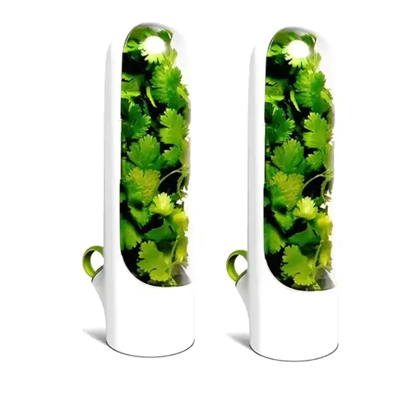 Recipiente Armazenador de Ervas Frescas Recipiente Armazenador de Ervas Frescas Design & Casa