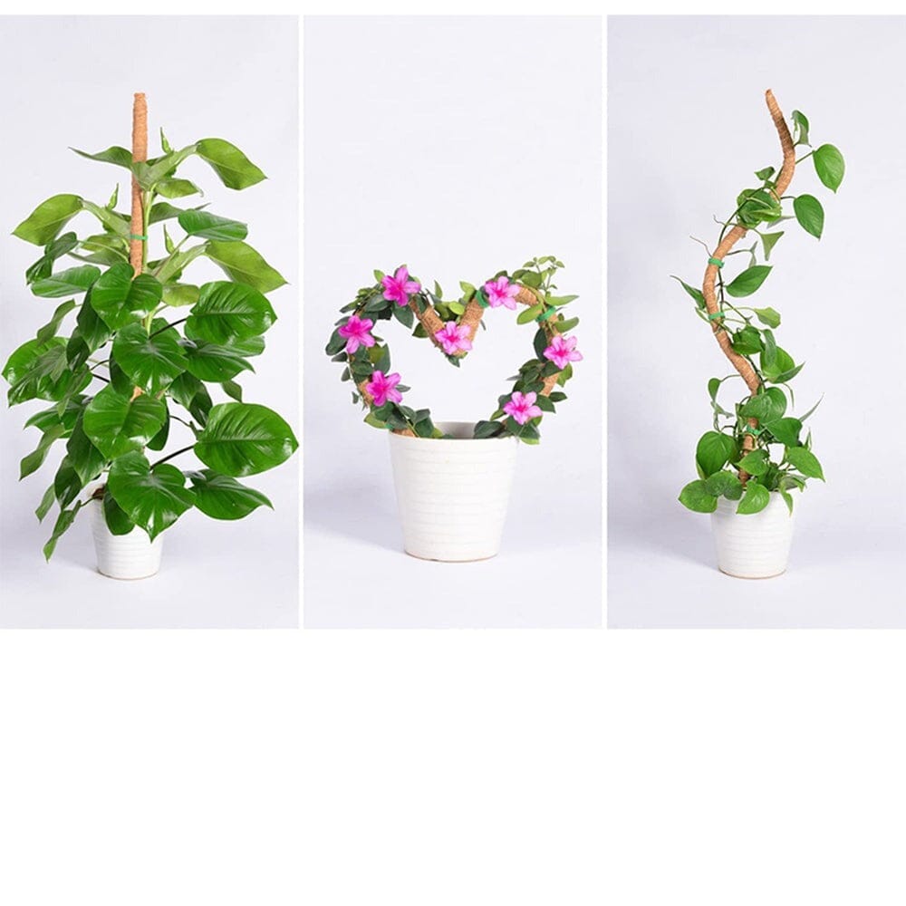 Tutores Para Plantas Dobráveis Tutores Para Plantas Dobráveis Design & Casa