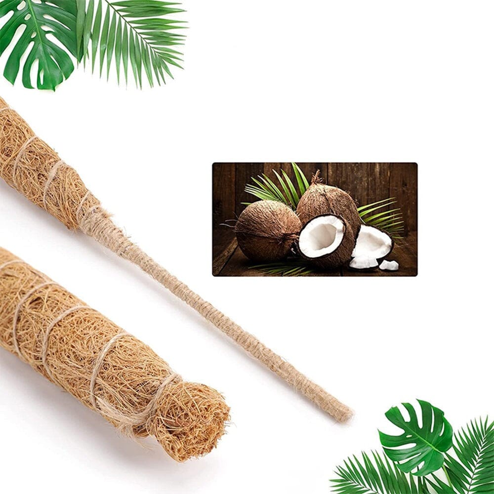 Tutores Para Plantas Dobráveis Tutores Para Plantas Dobráveis Design & Casa