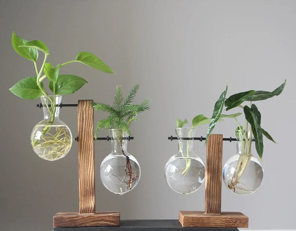 Vaso De Bulbo Transparente Com Suporte De Madeira Vaso De Bulbo Transparente Com Suporte De Madeira Design & Casa