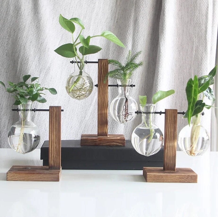 Vaso De Bulbo Transparente Com Suporte De Madeira Vaso De Bulbo Transparente Com Suporte De Madeira Design & Casa