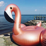 Boia de Piscina Flamingo Inflável Boia de Piscina Flamingo Inflável Design & Casa Modelo 2 