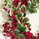 Guirlanda De Natal para Porta Guirlanda De Natal Com Frutas Verde / Vermelho Design & Casa 