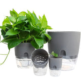 Vaso De Plantas Regador com Porta de Injeção de Agua Vaso De Plantas Regador com Porta de Injeção de Agua Design & Casa 