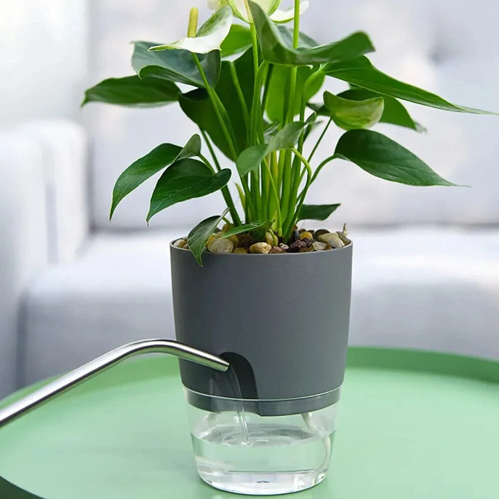 Vaso De Plantas Regador com Porta de Injeção de Agua Vaso De Plantas Regador com Porta de Injeção de Agua Design & Casa 