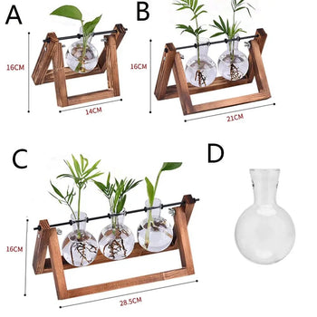 Vasos De Plantas Hidropônicas Com Suporte de Madeira Vasos De Plantas Hidropônicas Com Suporte de Madeira Design & Casa 